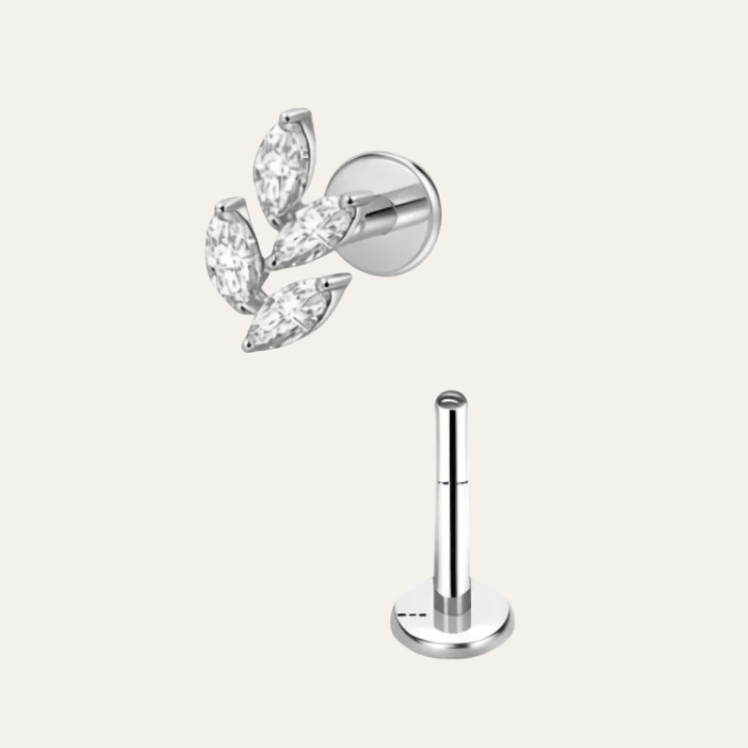 Taxus Piercing