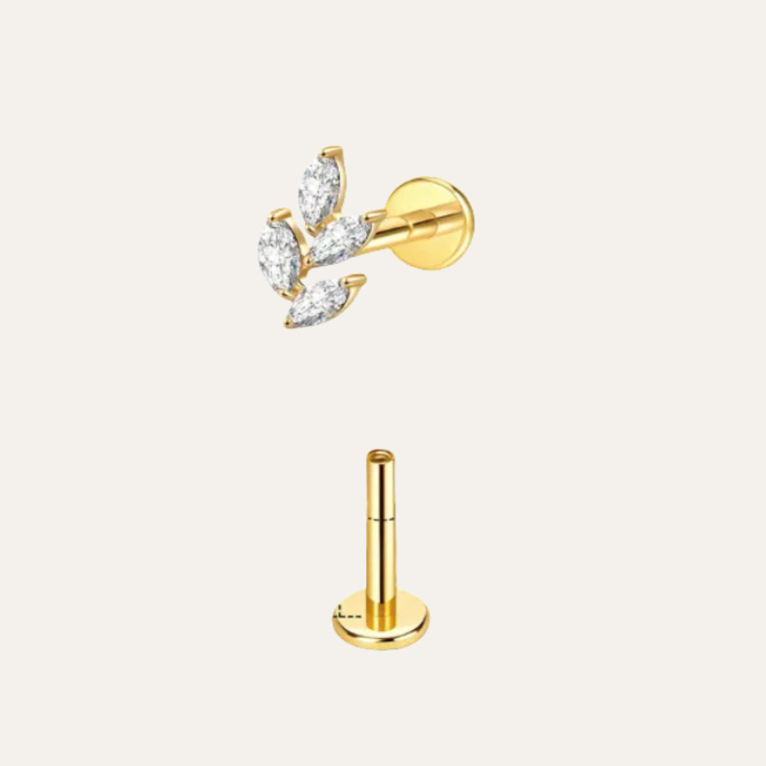 Taxus Piercing